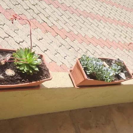 La Casa Di Pepe Appartamento