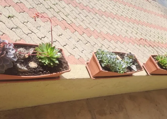 La Casa Di Pepe Appartement